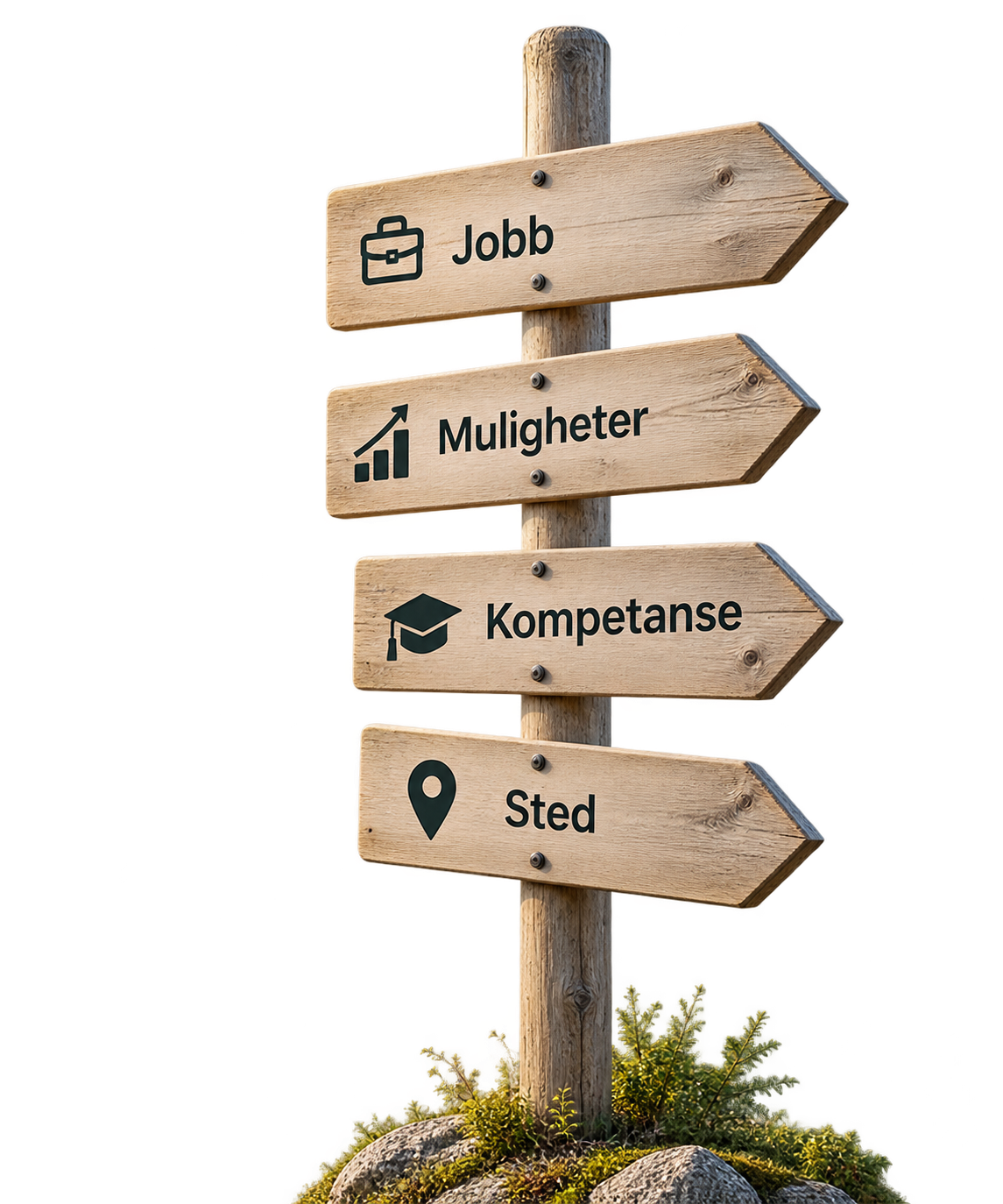 Treveiviser med Jobb, Muligheter, Kompetanse og Sted